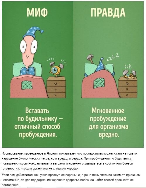 10 вредных привычек, которые мы напрасно считаем полезными 10 вредных привычек, которые мы напрасно считаем полезными