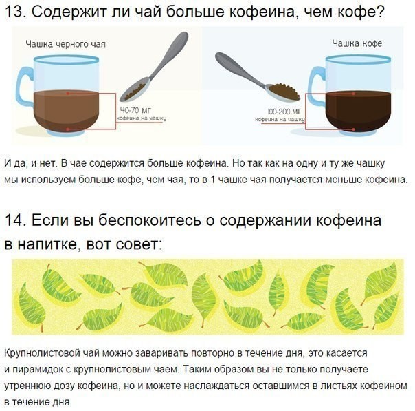 ​6 основных сортов чая и их секреты