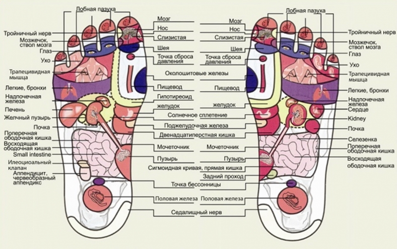 7 активных точек на стопе, которые быстро вернут к жизни