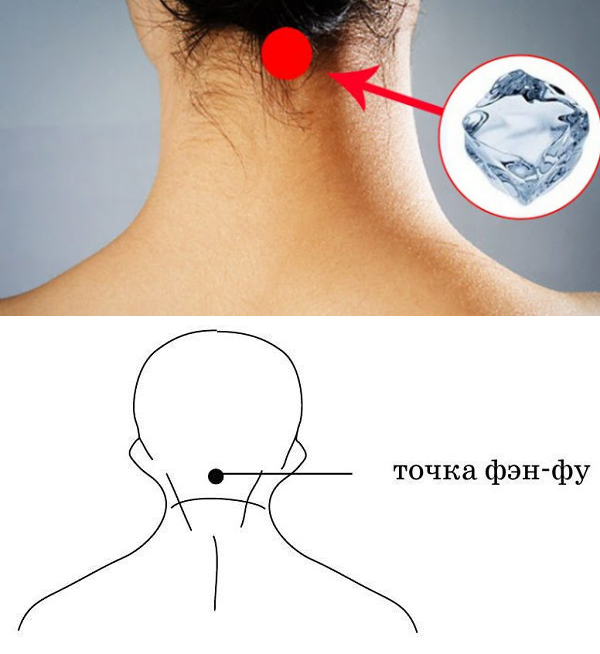​Точка Фэн-Фу и омоложение организма