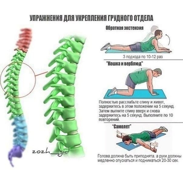 Упражнения для здорового позвоночника