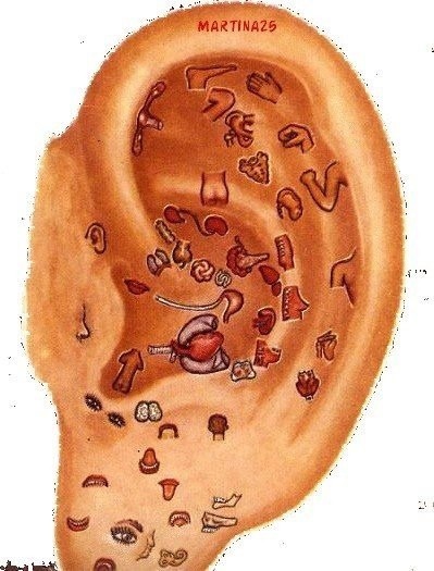 ​Диагностика болезней по ушам