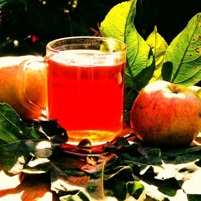 ​Чай из веток яблони: вкус зависит от сорта