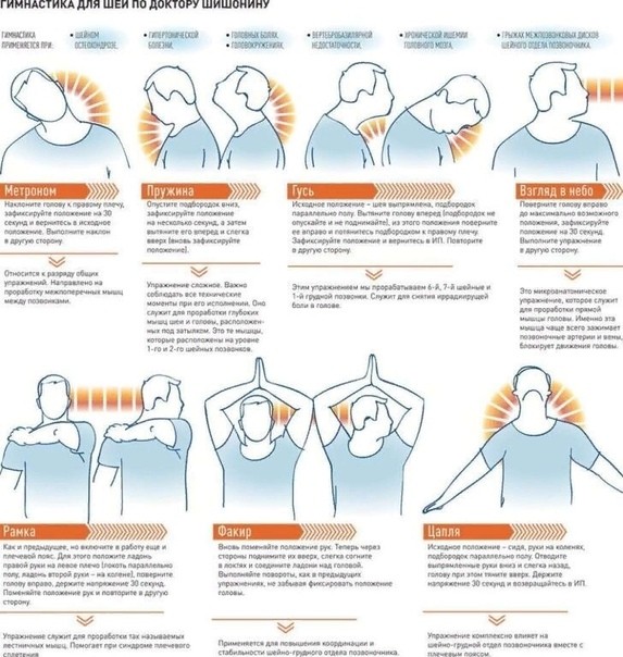 Как сделать шею здоровой: упражнения доктора Шишонина