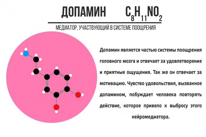 ​Что стоит знать про нейромедиаторы