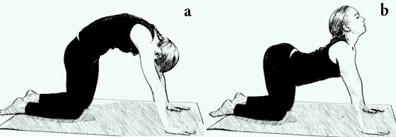 7 лучших упражнений для спины 7 лучших упражнений для спины