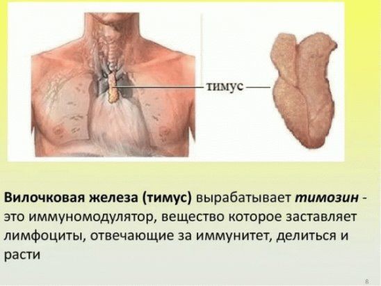​Точка счастья