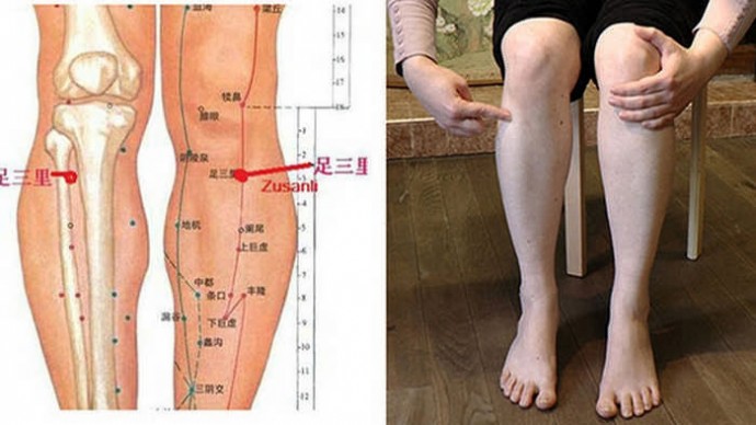 Точки долголетия на нашем теле: точка цзу-сань-ли