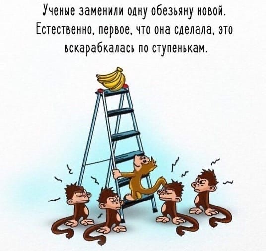 ​О том, что иногда нужно ставить под сомнение предубеждения и что-то менять