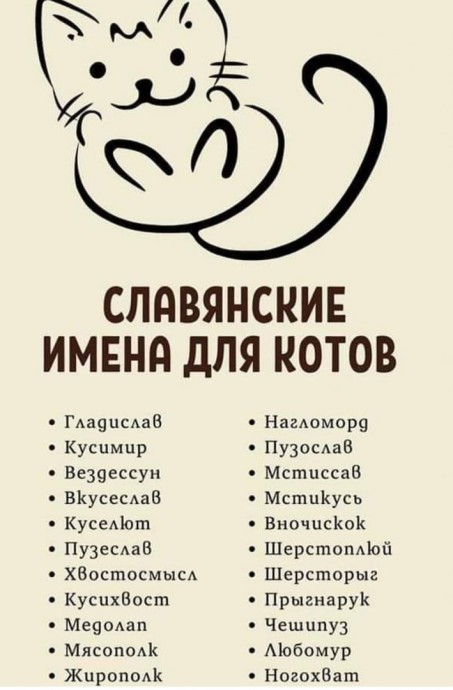 Какие славянские имена можно дать котам