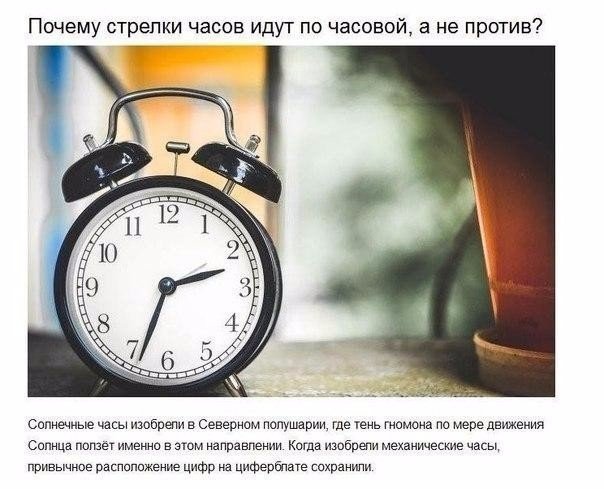 Ответы на детские вопросы, от которых «взрывается» мозг