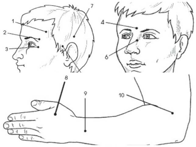 Точечный массаж при головной боли