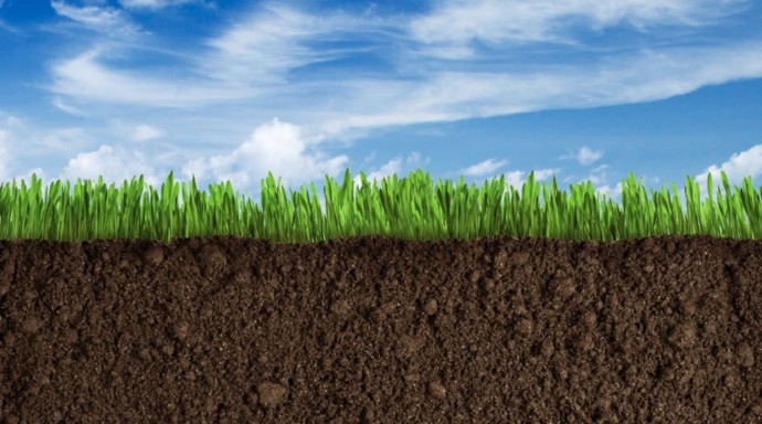 ​Как восстановить качество почвы в саду