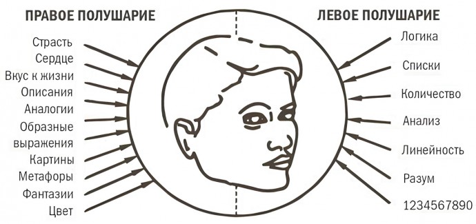 ​Секрет успеха: логика или эмоции