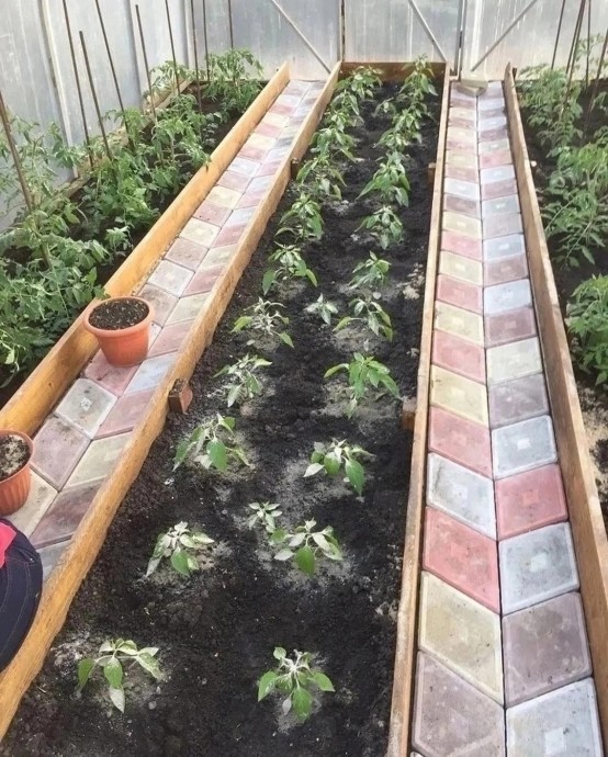 Симпатичные варианты обустройства теплиц