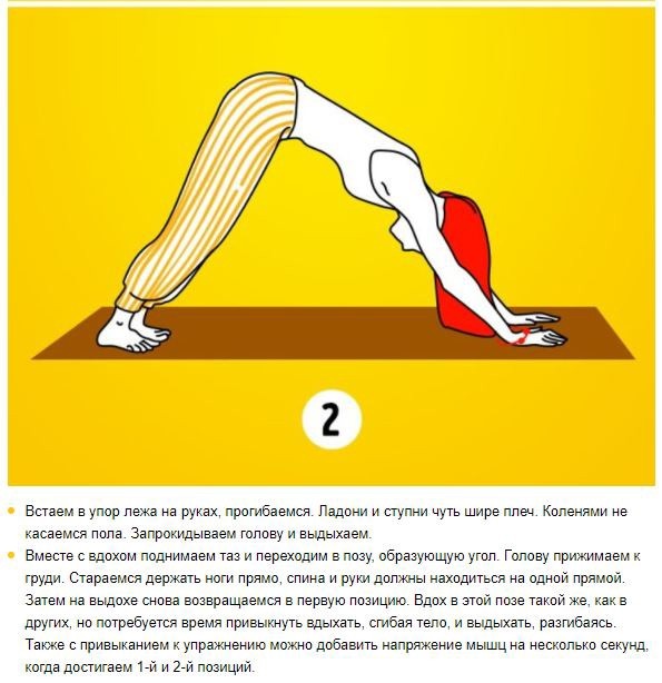 5 тибетских упражнений, чтобы проработать все мышцы за 10 минут 5 тибетских упражнений, чтобы проработать все мышцы за 10 минут