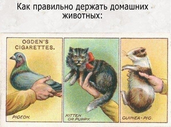 Лайфхаки 1910 года