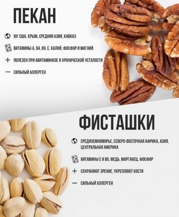 Конкретно о пользе орехов каждого вида