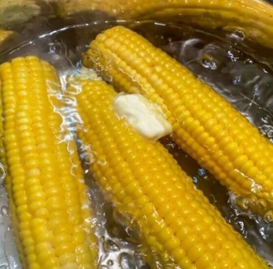 ​Как правильно варить початки кукурузы