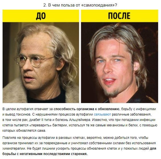 Как голодание продлевает молодость Как голодание продлевает молодость