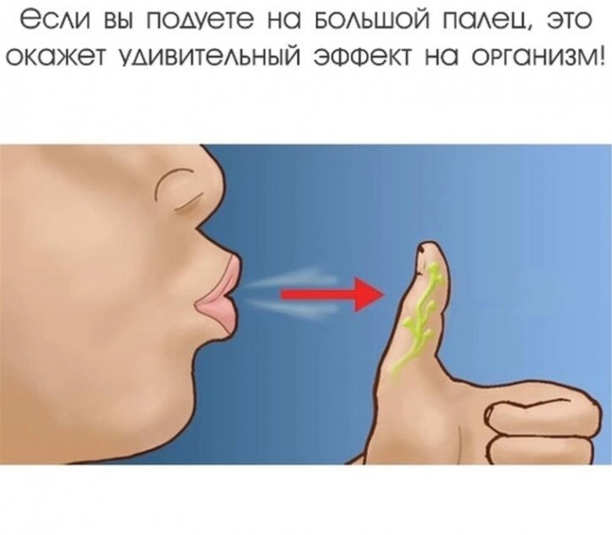 Если вы подуете на большой палец, это окажет удивительный эффект на организм Если вы подуете на большой палец, это окажет удивительный эффект на организм