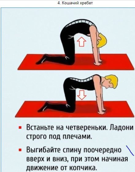 ​10 упражнений для безупречной осанки