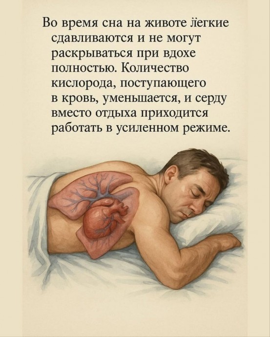 Почему сон на животе вредит телу Почему сон на животе вредит телу
