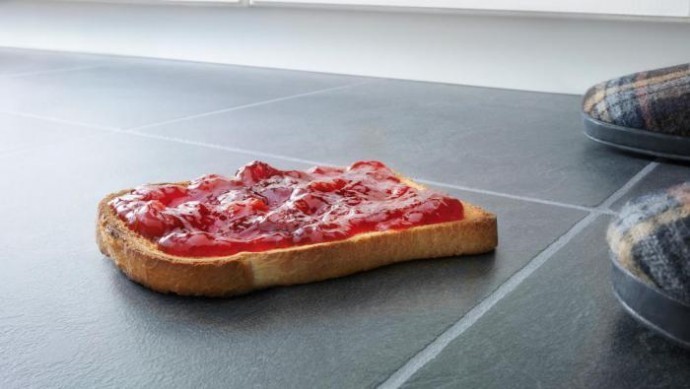 Работает ли "правило пяти секунд" для еды, упавшей на пол Работает ли "правило пяти секунд" для еды, упавшей на пол