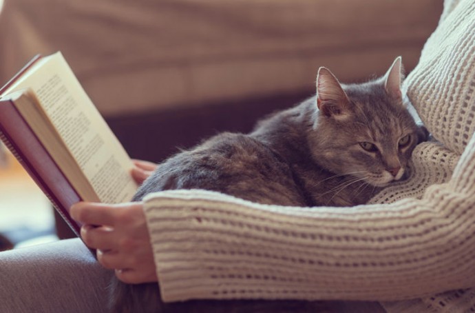 10 книг с юмором, которыми стоит дополнить удовольствие от жизни 10 книг с юмором, которыми стоит дополнить удовольствие от жизни