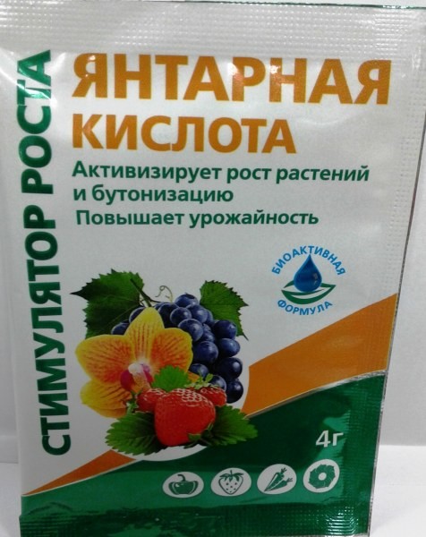 Янтарная кислота как супер средство для растений Янтарная кислота как супер средство для растений