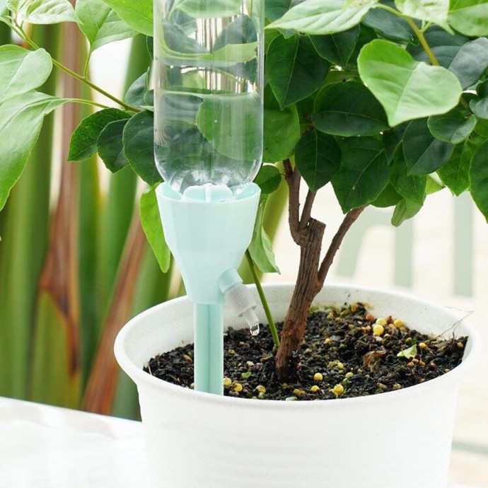 Ленивый полив, который работает Ленивый полив, который работает