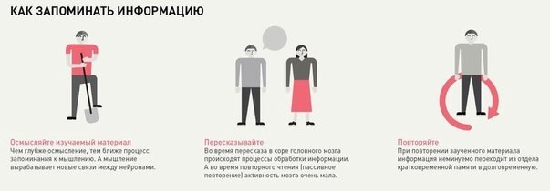 ​Что нужно знать о том, как мозг усваивает и запоминает информацию