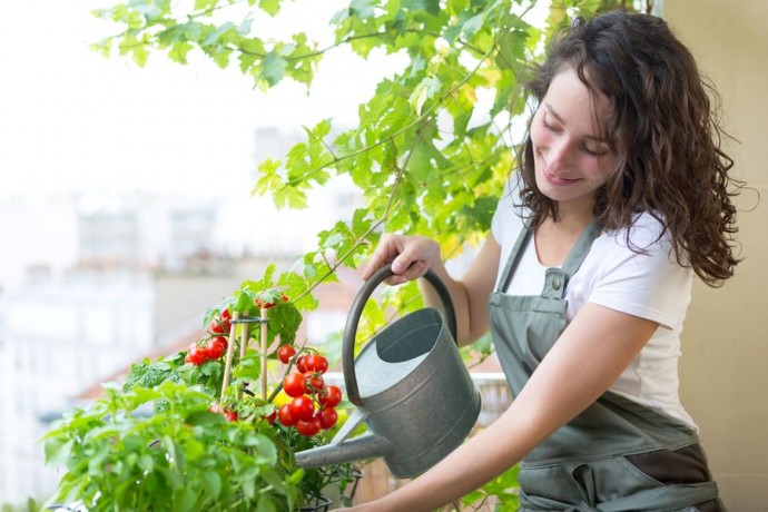 Как правильно поливать различные овощи