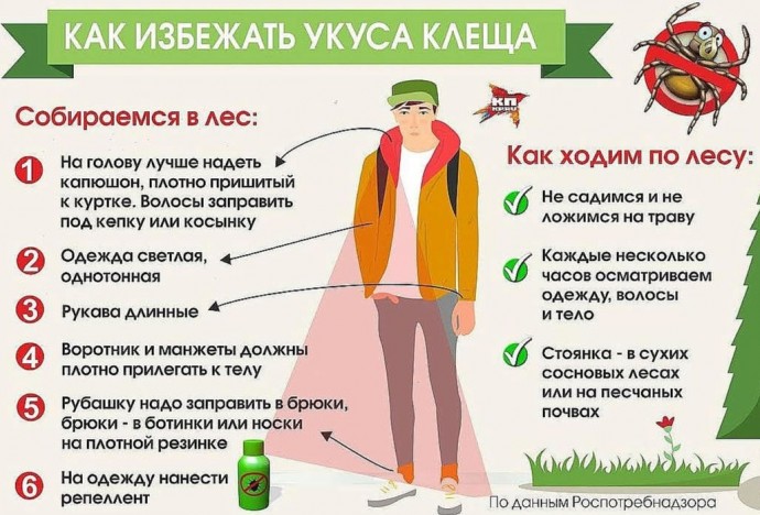 Как минимизировать вероятность укуса клеща Как минимизировать вероятность укуса клеща