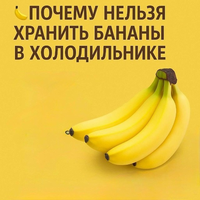 Почему нельзя хранить бананы в холодильнике Почему нельзя хранить бананы в холодильнике
