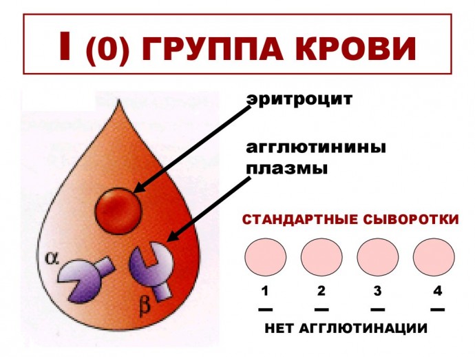 5 фактов, которые отличают обладателей первой группы крови от других