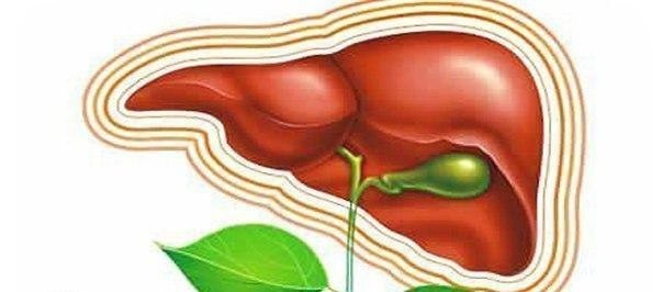 ​6 профилактических советов для очистки печени