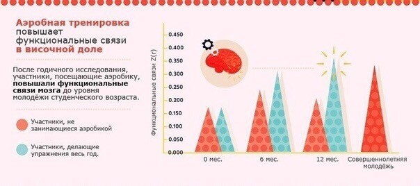 Мозг и физические упражнения: как быть в тонусе