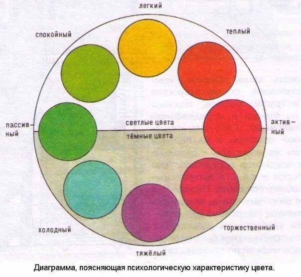 ​Как правильно и красиво сочетать цвета