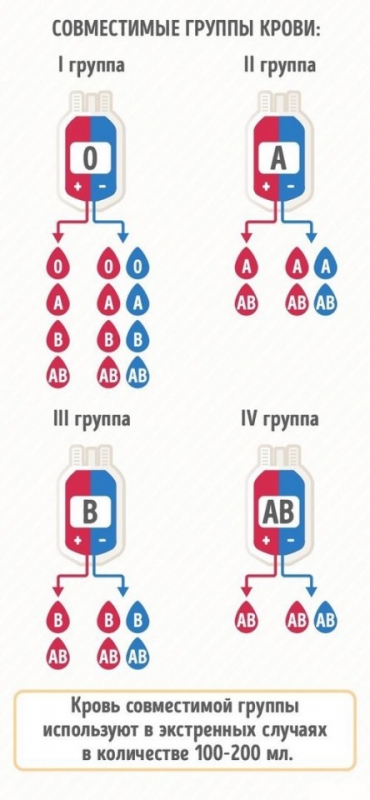 Почему нужно знать группу крови всех членов семьи