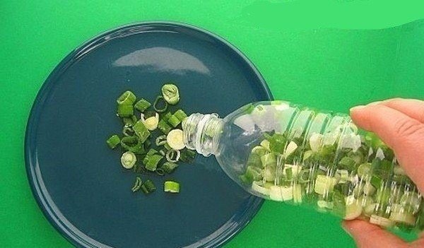 Разумное хранение продуктов Разумное хранение продуктов