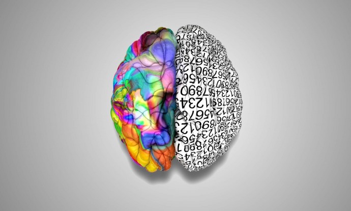 ​Как развивать полушария мозга