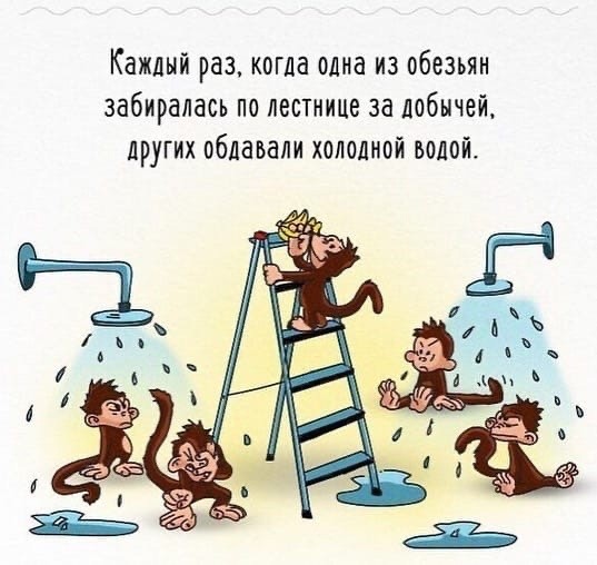 ​О том, что иногда нужно ставить под сомнение предубеждения и что-то менять