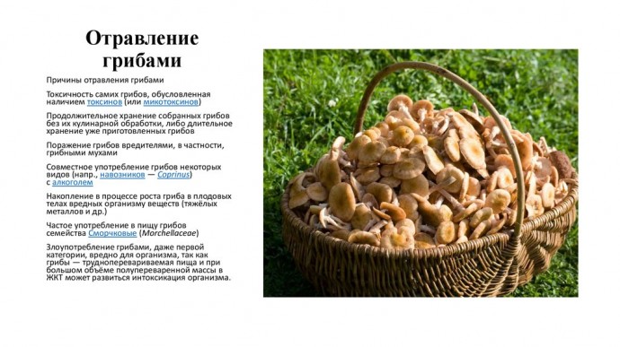 Отравление грибами: симптомы, первая помощь