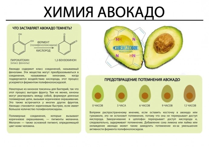 ​Как разобраться в химии обычных продуктов