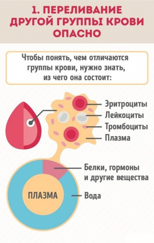 Почему нужно знать группу крови всех членов семьи