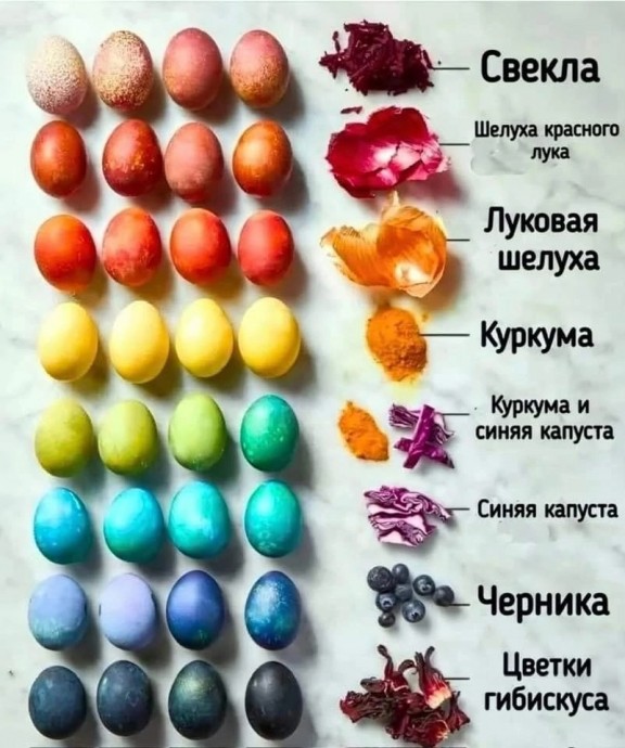 Фиолетовый цвет для покраски яиц без химии Фиолетовый цвет для покраски яиц без химии