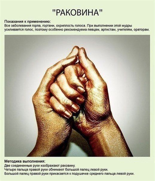Профилактика сохранения здоровья при помощи простых упражнений рук Профилактика сохранения здоровья при помощи простых упражнений рук