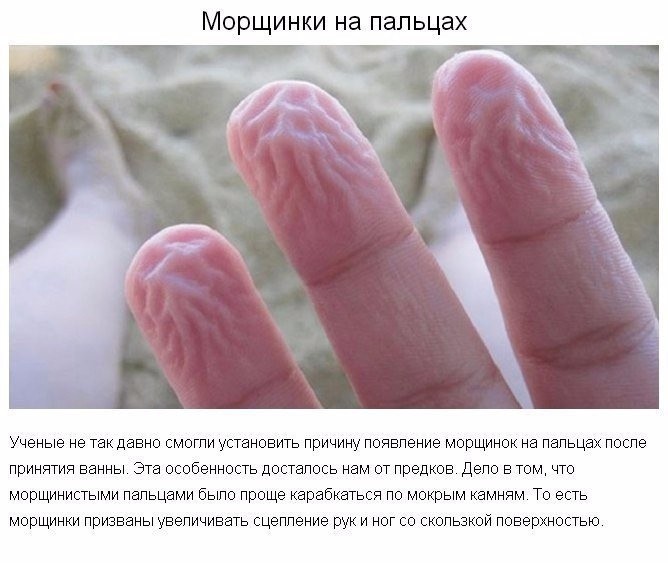 9 странных вещей, которые делает тело для нашей защиты 9 странных вещей, которые делает тело для нашей защиты