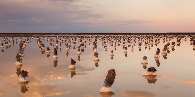 ​Солёные озера России, где можно отдохнуть и поправить здоровье: озёра в Поволжье